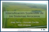 Intensificación Sostenible de los Sistemas Arrocerosproarroz.com.ar/static/presentaciones/... · de energia Rendimiento neto de la energia Dosis de N Perdida de N estimada Riesgo