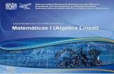 1 de 123 Primer semestrefcaenlinea1.unam.mx/apuntes/interiores/docs/2016/inform... · 2016-01-26 · 10 de 123 Primer semestre 1.1. Concepto de ecuación lineal Una gran cantidad