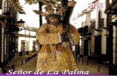 Señor de La PalmaSeñor de La Palmapadrejesus.com/Boletines/boletin26.pdf · que ya rompe la madrugada el andar nazareno, de su divina zancada.” … Tu llegada se advierte, la