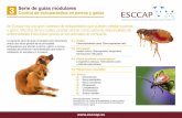 Serie de guías modulares Control de ectoparásitos …...2020/01/08  · En Europa hay una gran variedad de ectoparásitos que pueden infestar a perros y gatos. Muchos de los cuales,
