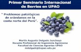 Primer Seminario Internacional de Berries en UPAO · 2020-03-18 · •Según el Compendium of Blueberry and Cranberry Diseases, se han descrito hasta el 2007: •54 enfermedades
