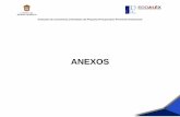 ANEXOSdesarrolloeconomico.edomex.gob.mx/sites...ANEXOS Evaluación de Consistencia y Resultados del Programa Presupuestario Promoción Internacional Anexo 1. Descripción general del