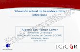 Situación actual de la endocarditis infecciosa · 2017-08-14 · • Daptomicina en endocarditis por S. aureus en alérgicos a penicilina y para ... Tamaño, posición mitral y Staph.