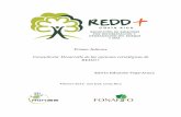 Consultoría: Desarrollo de las opciones estratégicas de REDD+reddcr.go.cr/sites/default/files/centro-de... · Estas opciones buscan a grandes rasgos la reducción de la deforestación