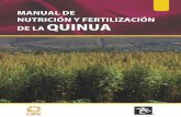 manual quinua final de fertilizacion de la...riencias de la producción de quinua, realizados por CARE-PERÚ y la Universidad Nacional de san Cristóbal de Huamanga (UNSCH), en el