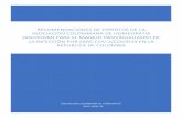 RECOMENDACIONES DE EXPERTOS DE LA ASOCIACIÓN …ascohom.co/wp-content/uploads/2020/04/RECOMENDACIONES-DE-E… · ASOCIACION COLOMBIANA DE HOMEOPATIA 2020, ABRIL 30 RECOMENDACIONES