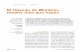 El Hayedo de Montejo, mucho más que hayasoa.upm.es/11612/2/INVE_MEM_2011_105818.pdf · de El Chaparral–, de matas bajas y ramosas de roble, un diminutivo con cierta carga desdeñosa