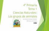 Tema 1 Naturales 4º - elcoledemombuey.files.wordpress.com€¦ · Tema 1 Ciencias Naturales: Los grupos de animales Juan Bautista Rodríguez Seisdedos CRA Palacios de Sanabria. Animales
