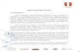 FPF | Federación Peruana de Fútbol · 2017-12-12 · ANEXO 3 – Desglose de Ingresos, Costos y Gastos ANEXO 4 – Declaración Jurada de los Contratos celebrados con los Jugadores,
