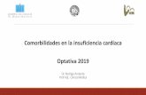 Comorbilidades en la insuficiencia cardíaca Optativa 2019Sociedad Española de Medicina Interna sobre el diagnóstico y tratamiento del déficit de hierro en la insuficiencia cardíaca.