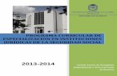 PROGRAMA CURRICULAR DE ESPECIALIZACIÓN EN INSTITUCIONES …derecho.bogota.unal.edu.co/fileadmin/autoevaluacion/... · 2018-04-17 · universidad nacional de colombia, facultad de