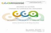 INFORME DE GESTION CAMARA DE COMERCIO DEL AMAZONAS DE GESTION ABRIL … · abril de 2013; el cual, se presenta de acuerdo a los programas contemplados en el Plan de Acción 2013 para