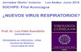 Prof. Dr. Luis Fidel Avendaño lavendan@uchileaconcagua.sochipe.cl/subidos/catalogo3/1 Virus... · Avendaño et. al . ADV VRS FLU PI 1990 1992 1995 1997 1999 2001 2003 1994 1996 1998