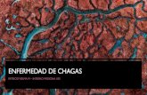 ENFERMEDAD DE CHAGAS · DEFINICIÓN La enfermedad de Chagas o tripanosomiasis americana debe su nombre al médico brasileño Carlos Chagas, quien la descubrió en 1909. Esta enfermedad