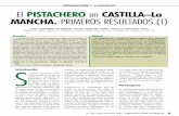 PRODUCCIÓN Y VARIEDADES PISTACHERO en CASTILLA–La MANCHA ... · El PISTACHERO en CASTILLA–La MANCHA. PRIMEROS RESULTADOS (1) Introducción e puede considerar 1997 como el año