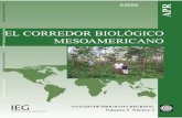 EL CORREDOR BIOLÓGICO MESOAMERICANO€¦ · pueblos similares en el Corredor Biológico Mesoamericano, Sustainable Harvest International . ha aprovechado el trabajo realizado por
