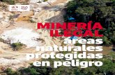 MINERÍA ILEGAL áreas naturales protegidassiar.minam.gob.pe/puno/sites/default/files/archivos/public/docs/mine… · áreas naturales protegidas en peligro THOMAS MÜLLER / SPDA