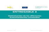 ENTREGABLE 2€¦ · ENTREGABLE 2 Optimización de los diferentes pretratamientos ensayados. Una manera de hacer Europa - 51 - Fondo Europeo de Desarrollo Regional 1. Introducción