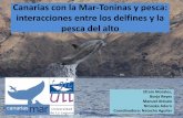 Canarias con la Mar-Toninas y pesca: interacciones entre ...€¦ · Cuantificar las pérdidas económicas y los daños a los delfines producidos por las interacciones Analizar el