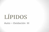LÍPIDOS - UNAMdepa.fquim.unam.mx/amyd/archivero/Lipidos-4_24711.pdf · escomposición de los hidroperóxidos … • En etapa de propagación en la oxidación de los ácidos grasos