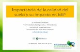 Importancia de la calidad del suelo y su impacto en MIPagromip.com.gt/ponencias /2019/Salon 1/Miercoles 3... · Identificación de características específicas de los horizontes