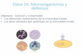 Clase 16: Microorganismos y defensas...Clase 16: Microorganismos y defensas Objetivos: Conocer y comprender • Los diferentes mecanismos de la Inmunidad Innata. • Los tipos celulares