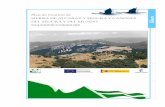 Plan de Gestión de - Castilla-La Mancha · plan de gestión elaborado por: direcciÓn general de polÍtica forestal y espacios naturales. viceconsejerÍa de medio ambiente. consejerÍa