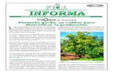 de actualidad Pimienta gorda: un cultivo para diversificar ...fhia.org.hn/dowloads/fhia_informa/fhia_informa_diciembre_2016.pdf · Año 24, No. 4 de actualidad Pimienta gorda: un