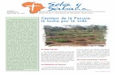 Camino de la Pascua: la lucha por la vida - MISIONES AFRICANAS 11.pdf · dad de Misiones Africanas que celebró en la playa de Ouidah el aniversario de la llegada de los primeros