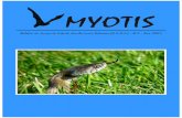Natrix natrix - grupogeas.orggrupogeas.org/documentos/Myotis_n2.pdf · corresponden con fauna doméstica y 284 mamíferos silvestres. Las diferencias obser-vadas entre el número
