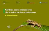 Presentación de PowerPoint · 2018-07-04 · 1. Se requiere de un análisis profundo para determinar el alcance de la pérdida neta de biodiversidad en Chiriquí (CeComRO, 2018).