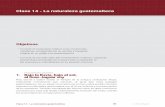 Clase 14 - La naturaleza guatemaltecaidiomas.ifsul.edu.br/.../aula_14/pdf/ESP_M2_C3_A14.pdf · Clase 14 - La naturaleza guatemalteca 33 e-ec rasil Para hablar de algunos aspectos