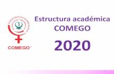 Estructura académica COMEGO 2020comego.org.mx/regional/Regional_25/carpeta_actividades/Carpeta_C… · •Portafolios de asistentes •Obsequios a profesores Prof. Titular: Dr. Ranferi