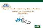 Presentación de PowerPoint · Ser agremiado al Colegio de Ingenieros de Guatemala o carreras afines. 3. Cumplir con las condiciones de edad mínima y máxima de ingreso a la póliza