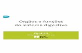 Abre Horizontes - Porto Editora · 2015-03-23 · Órgaos e funçóes do sistema digestivo Produz o suco pancreático que é lançado no duodeno. Tubo dividido em cego, cólon e reto.