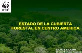 ESTADO DE LA CUBIERTA FORESTAL EN CENTRO AMERICA · e n i n a s a s a n e ha Cobertura Forestal 1992 (ha) Cobertura Forestal 2000 (ha) 0 100,000 200,000 300,000 400,000 500,000 600,000