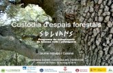 Custòdia d’espais forestals espais forestals... · o Preservació gradual en els espais naturals de protecció especial, tant de la Generalitat de Catalunya com de les diputacions