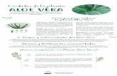 Cuidados de la planta ALOE VERA - Sembramos · 2018-12-05 · ALOE VERA Esta planta suculenta de hojas gruesas y puntiagudas ha sido utilizada como amuleto para alejar las malas energías
