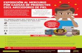 EXPOSICIÓN AL MERCURIO POR CAUSAS DE PRODUCTOS ESCL … · 2019-06-05 · Los bebés nonatos, infantes y niños son muy sensibles al mercurio La exposición en etapa prenatal puede
