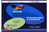 ULTIMA VERSION DE LA GUIA DE POLITICAS PUBLICAS - DENGUEportal.mspbs.gov.py/promociondelasalud/wp-content/uploads/2012/… · Se ha tomado como prototipo la experiencia de Asunción,