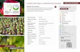 FUNDACIÓN PARA LA INNOVACIÓN AGRARIA AGRICULTURA SUSTENTABLE · 2017-03-30 · sustentable de flores bulbosas. Tipo de iniciativa Estudio Código de iniciativa EST-2016-0244 Ejecutor