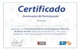 Certificado Declaração de Participação Declaro que ... · Certificado Declaração de Participação Declaro que participou do Treinamento Básico de Condutores Elétricos de
