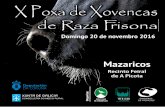 AFRICOR libro POXA 2016 imprimir - Campo Galego · 2020-05-31 · X POXA DE XOVENCAS RAZA FRISONA MAZARICOS 2016 1 X POXA DE XOVENCAS DE RAZA FRISONA Mazaricos, Domingo 20 de Novembro