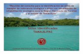 Sitios identificados TAMAULIPAS · Microsoft PowerPoint - Anexo_4_Presentacion_Tamaulipas.ppt [Modo de compatibilidad] Author: mrodrig Created Date: 10/29/2008 10:56:44 AM ...