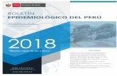 BOLETÍN - dge.gob.pe · de cáncer basada en registros hospitalarios, enero-diciembre 2017 703 Situación epidemiológica de las infecciones respiratorias agudas (IRA) en el Perú