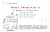 Tema 2. Biología Celulardpbiologia.weebly.com/uploads/2/1/5/5/21553524/gtp_t2...de transporte activo y transporte pasivo. Tema 2. Biología Celular 2.4 Transporte de membrana Germán