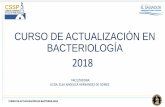 CURSO DE ACTUALIZACIÓN EN BACTERIOLOGÍAcssp.gob.sv/wp-content/...DEL-AREA-DE-BACTERIOLOGIA... · CURSO DE ACTUALIZACIÓN EN BACTERIOLOGIA BIOSEGURIDAD EN EL LABORATORIO DE MICROBIOLOGÍA