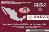Panorama Epidemiológico de Dengue, 2020 - gob.mx · 2020-05-14 · 2019 2020 SEMANA SEMANA DNG 27,884 1,090 1,544 DCSA 10,264 591 1,077 DG 3,357 146 304 DCSA + DG 13,621 737 1,381