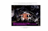 Mina-cueva de Leiza: Bioespeleología y Mineralogía de … · 2005-06-30 · Fauna cavernícola, hidrogeología y mineralogía de espeleotemas en una mina -cueva de Leiza, Navarra.