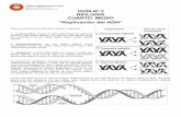GUÍA Nº 3 BIOLOGÍA CUARTO MEDIO “Replicación del ADN” · 2020-06-23 · GUÍA Nº 3 BIOLOGÍA CUARTO MEDIO “Replicación del ADN” Para el mecanismo de replicación existen